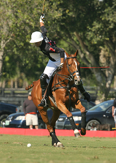 alexpacheco polo photos polo teams erg ipc polo club florida 1
