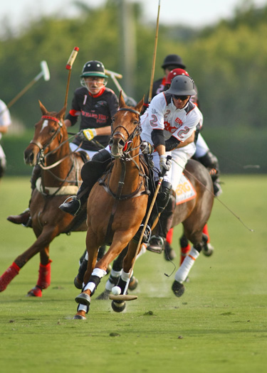 polo top polo tournament piaget gold cup polo teams polo usa polo club 1
