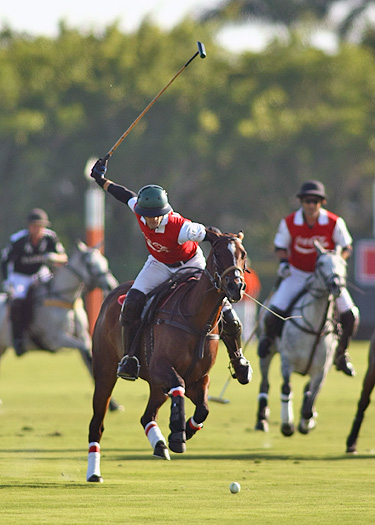 zacara coca polo teams polo gold cup ipc polo clu 5