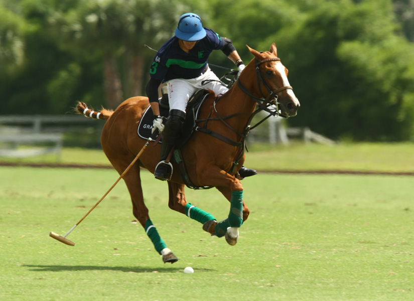 Piaget Memorial Polo tournament polo mag grand champions polo club 3