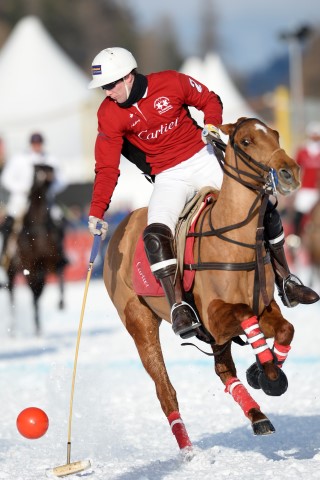 30 01 16-503 24348879529 o