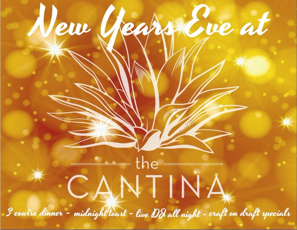 Enjoy the Thrill of Polo!