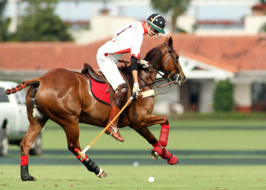 US Open photos-Orchard Hill vs. Alegria-4-11-13