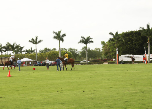 US Openpolo photos pacheco Orchard Hill Alegria polo magazine 7