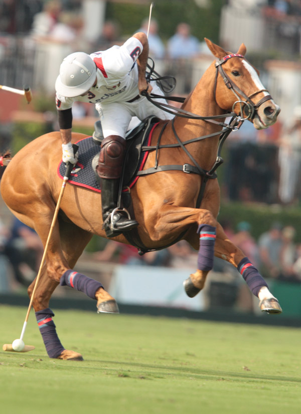 PhotosLechuza Caracas Faraway polomagazine 7