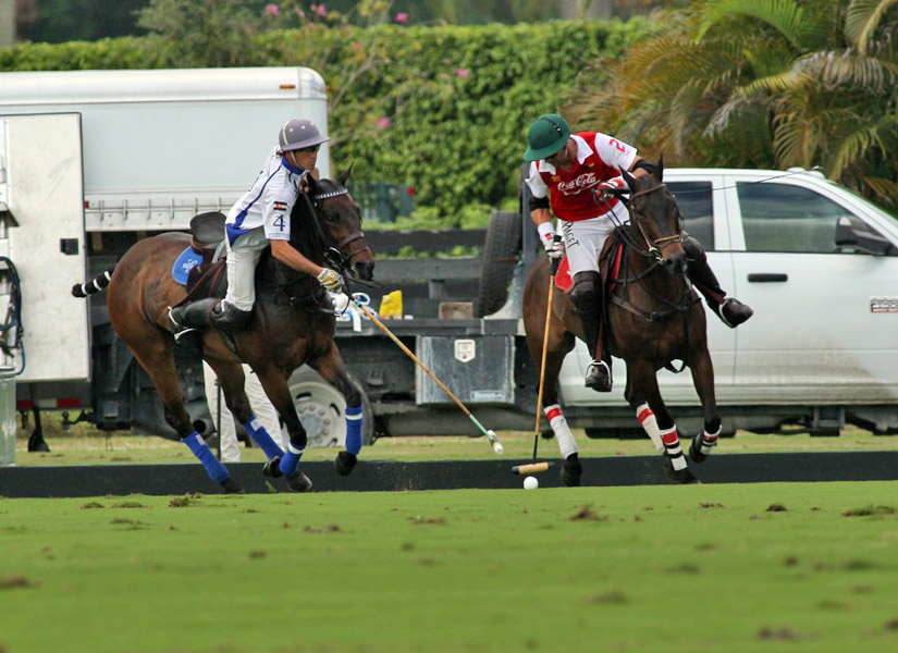 ipcinternationalpolopolomagazine 5