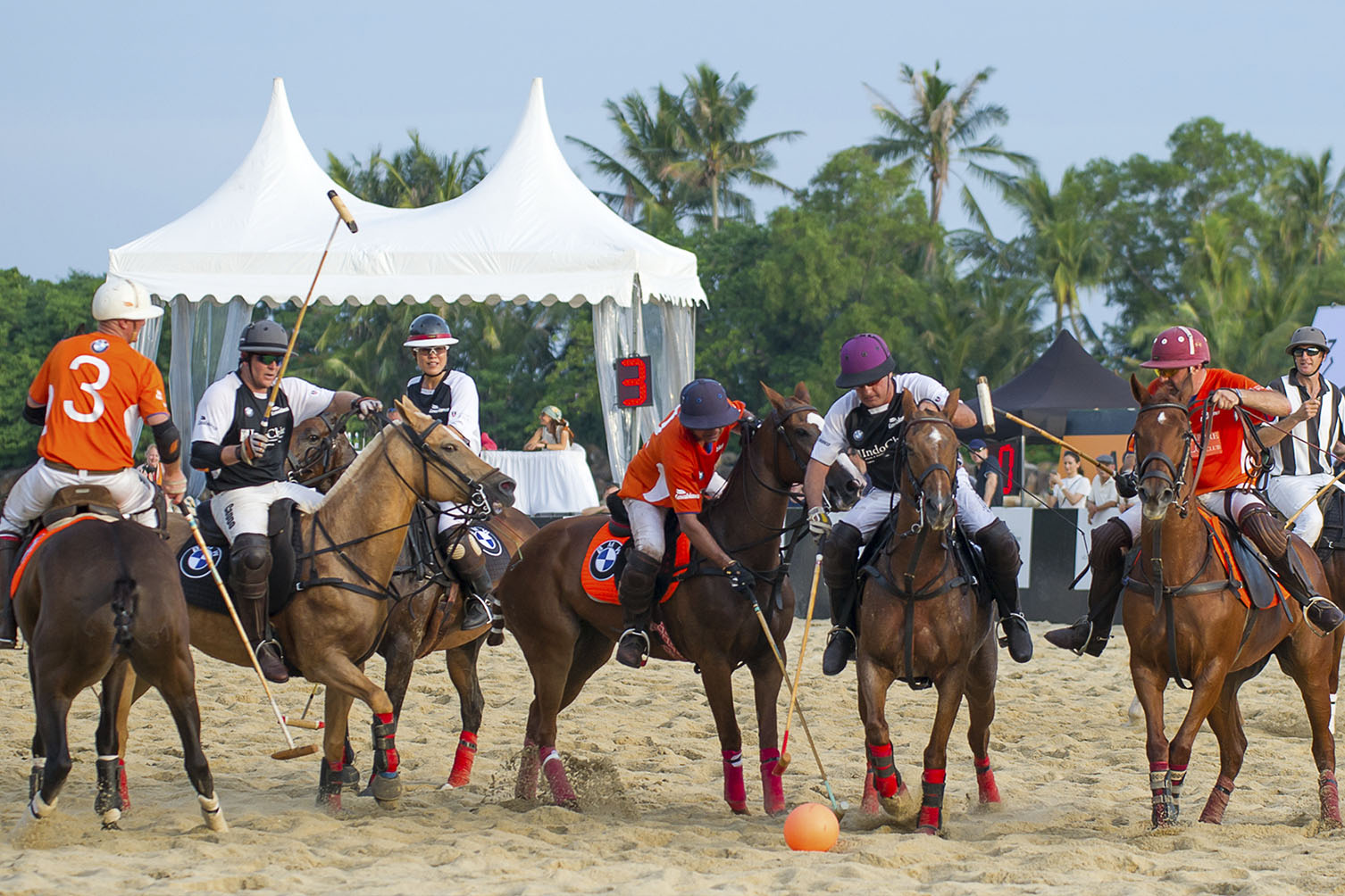 Singapore Polo Club Jungle Trail